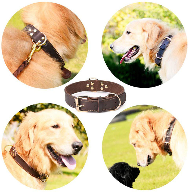 Leather Dog Collar