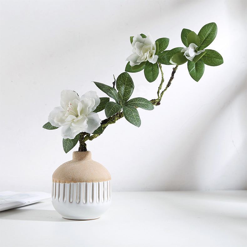 Home decor ceramic vases